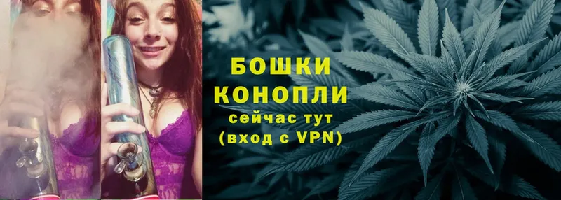 Шишки марихуана SATIVA & INDICA  продажа наркотиков  Лагань 